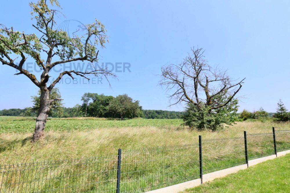 Magnifique villa neuve de plain-pied au calme dans quartier verdoyant - Bild 1