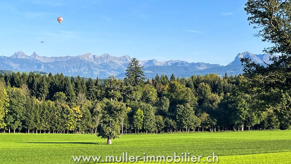 4 moderne Villen mit Abstand, nahe Romont - Bild 11