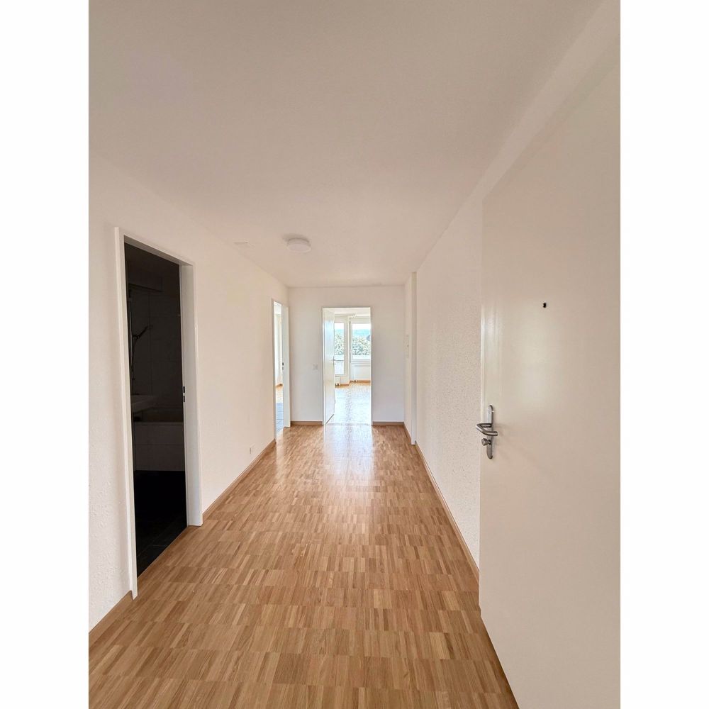 Erstvermietung nach Totalsanierung! 3.5-Zimmerwohnung sucht Mieter - Korridor