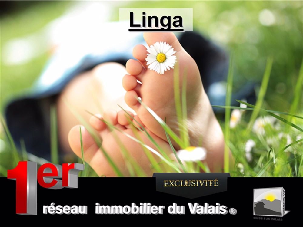 SIERRE/ I am "LINGA" Baugrundstück in Villenbereich von + 700 m² zum Verkauf im Wallis - Bild 2