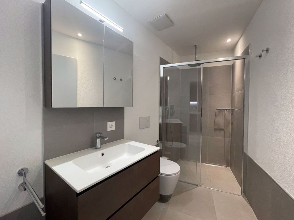 NEUES UND MODERNES APARTMENT 1.5 IN OPTIMALER LAGE - Bild 6