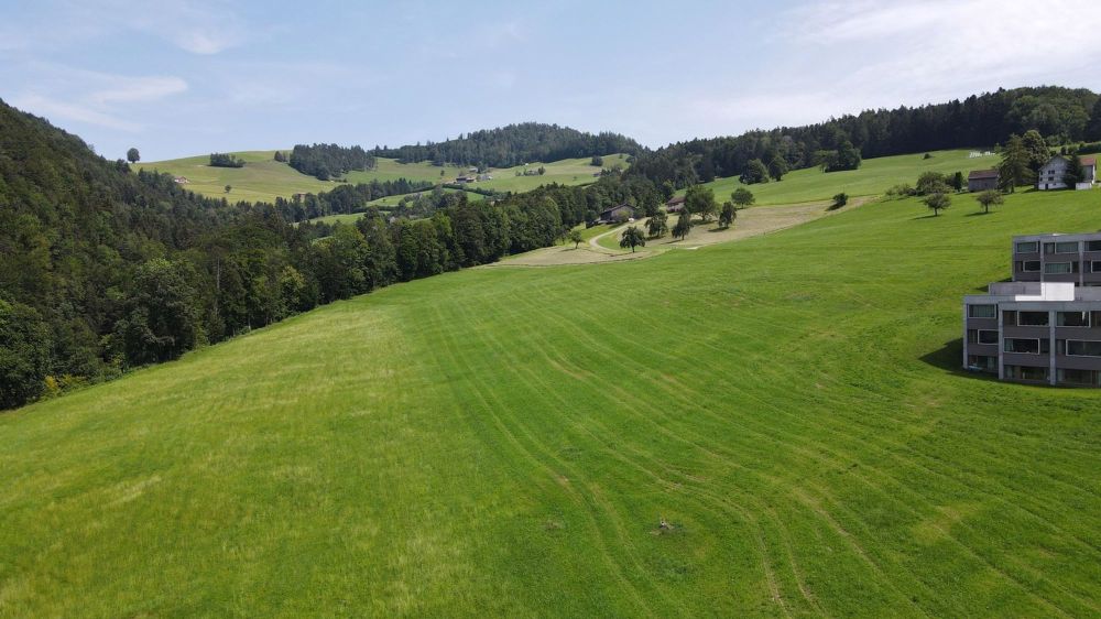 Eigenheim in grüner Umgebung - Umgebung