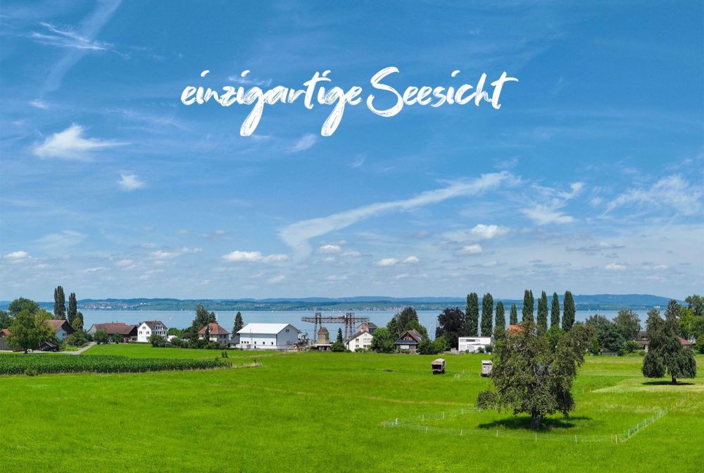 Attikawohnung mit grosszügiger Terrasse und Seeblick - Bild 6