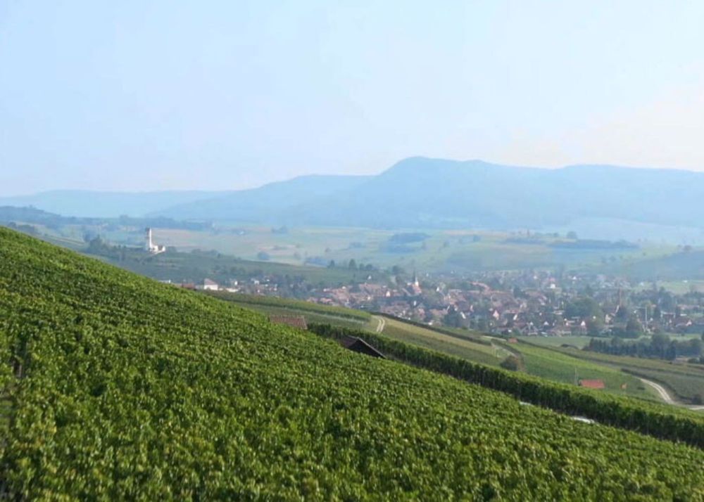 Moderne 4.5-Zimmer-Wohnung mit atemberaubendem Ausblick in Beringen - Bild 7