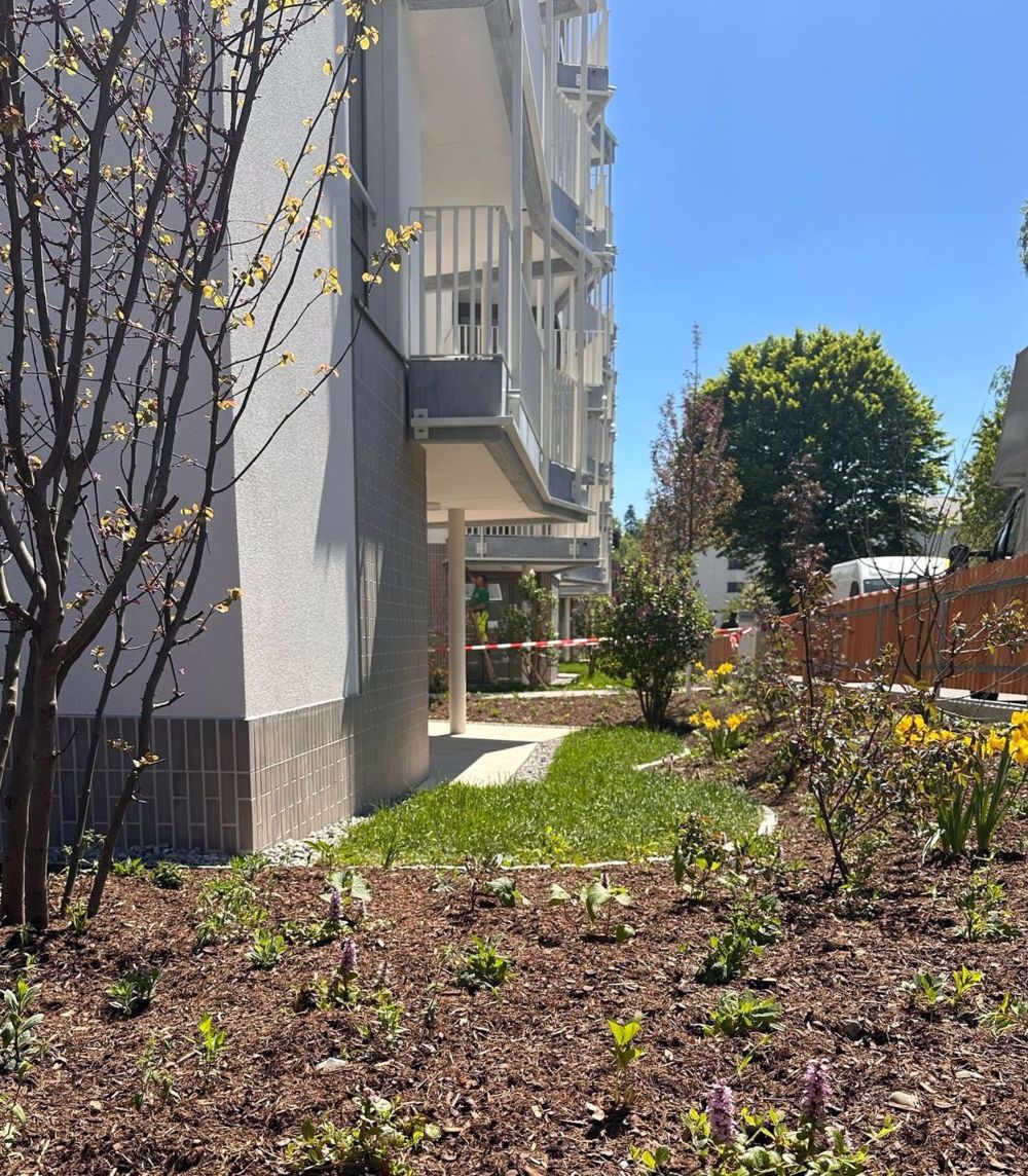BELLIS" - letzte Wohnung! - Gartenansicht