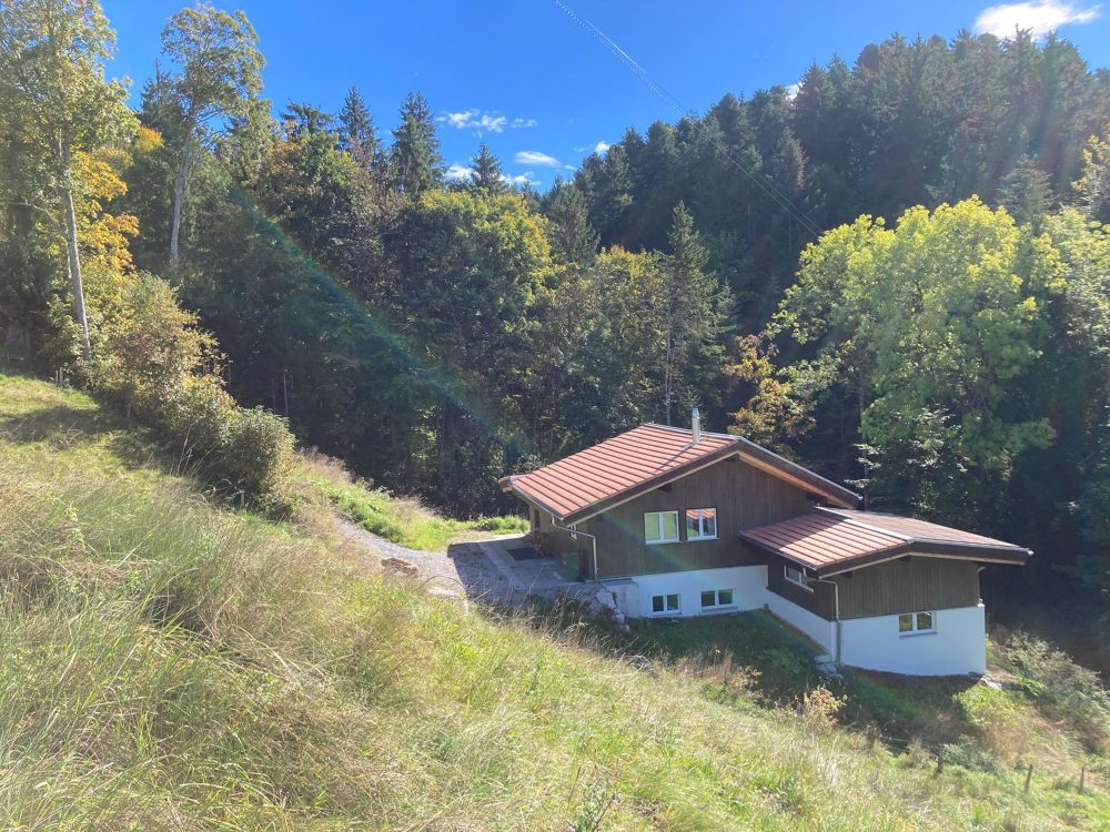 Alleinlage EFH mit grossem Umschwung - NEU - Bild 3