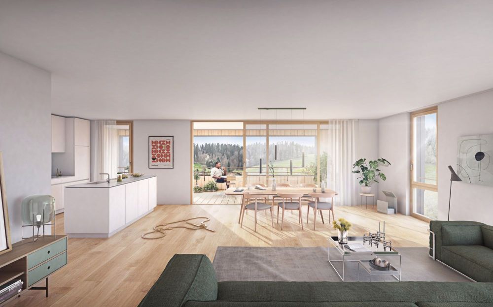 www.hasel-ufer.ch Wohnung D11 - Bild 1
