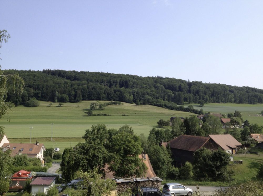 Villa individuelle à vendre à 15 minutes de Payerne - Bild 3