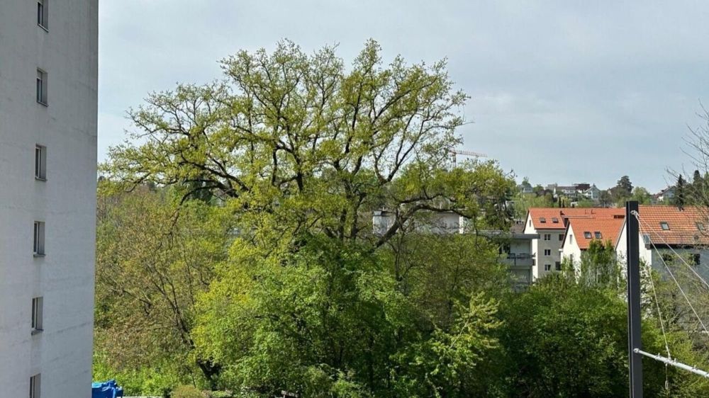2 ½ Zimmer-Wohnung in Binningen mieten - Bild 3