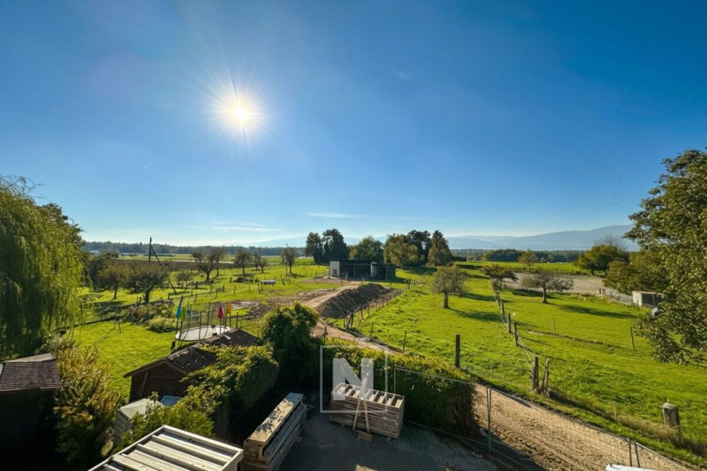 Neue Wohnung nach Plan ! Lot Nr. 6 - Bild 1