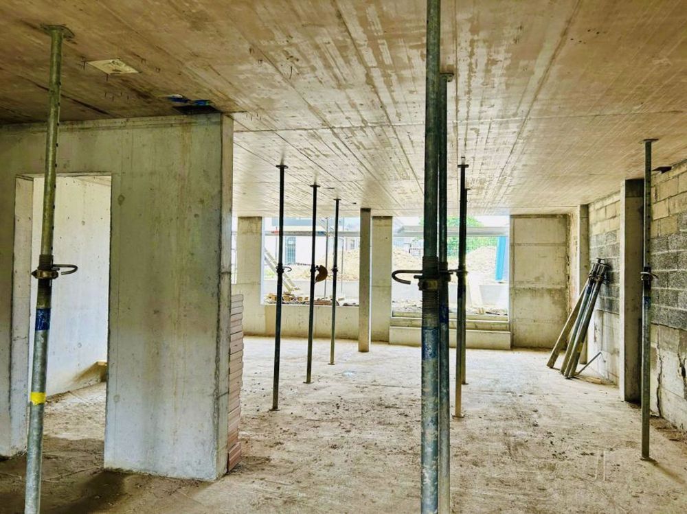 Bauernhof in Renovierung - Erdgeschosswohnung, neu mit Charakter, einzigartig und besonders - entrée et séjour
