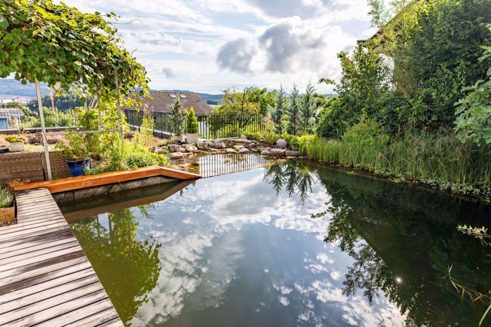Charmante Liegenschaft mit Einliegerwohnung, Gartenparadies und Schwimmteich - Bild 2