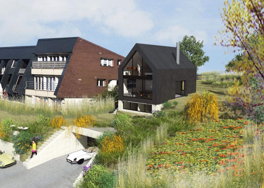 ALPSTEINSICHT MIT INDIVIDUELLEN MÖGLICHKEITEN - Bild 4