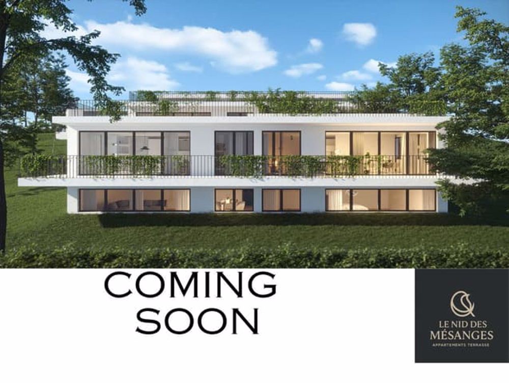 PROCHAINEMENT : LE NID DES MESANGES - Bild 1