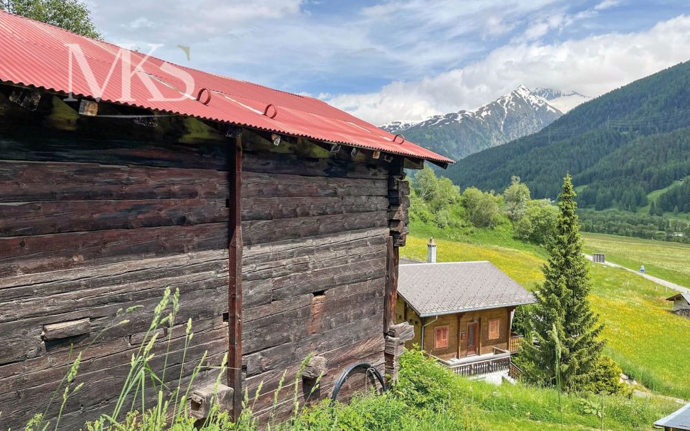 Malerisch gelegener Stall zum Umbau im Langlauf- Paradies Goms - Bild 4