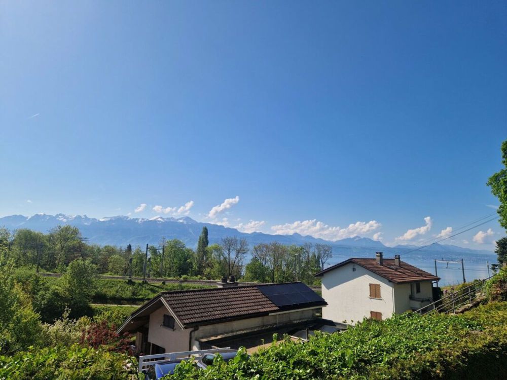 4.5-Zimmer-Wohnung im Erdgeschoss mit Blick auf den See und die Alpen - Bild 6