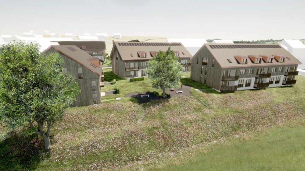 Eigentumswohnungen Zollhausweg - Bild 3
