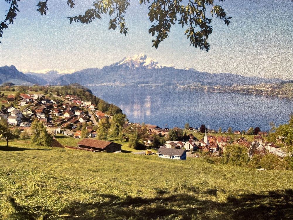 2 ½ Zimmer-Wohnung in Greppen mieten - Bild 5