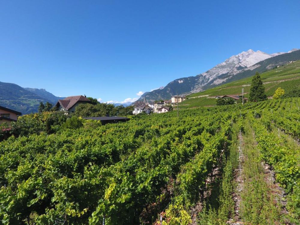 Auf den Sonnenhügeln von St-Séverin wartet Ihr zukünftiges Zuhause auf Sie. Werden Sie bereits ab CHF 583.- pro Monat* Eigentümer - Bild 6