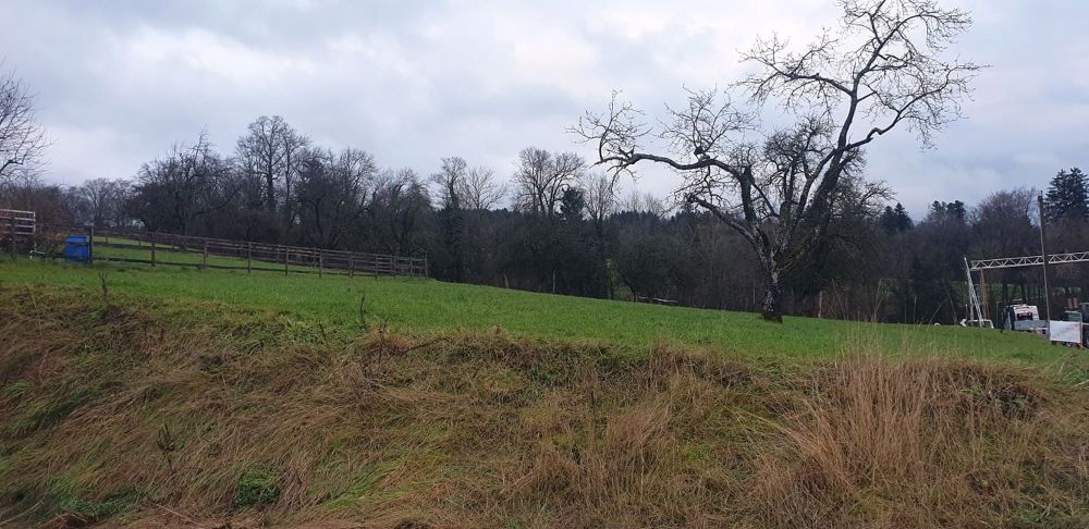 erhöhte Lage | Ruhiges Zuhause mit Fernsicht - Bild 5