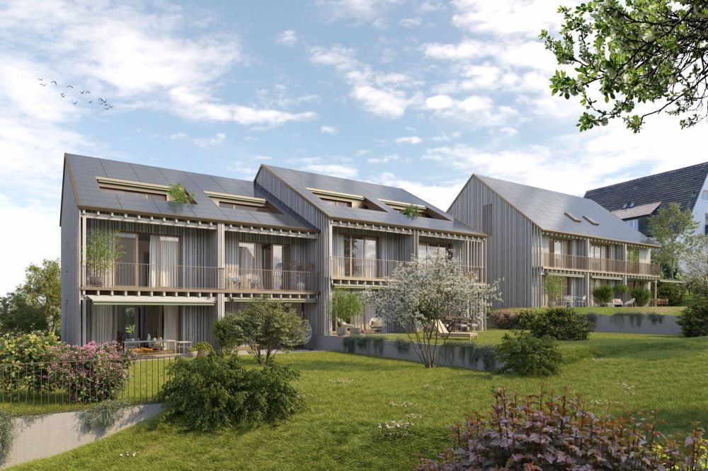 Ihr neues Zuhause im Grünen - Neubauprojekt Schönmatt - Bild 1
