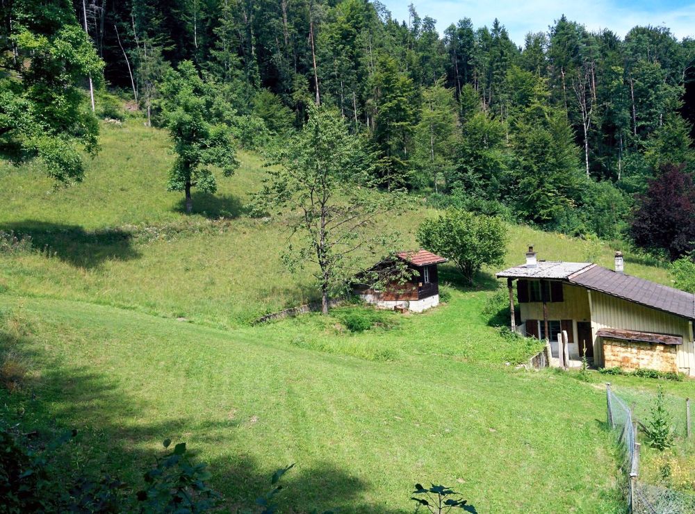 NATURJUWEL: 2'136m² Wiese, mit 1 bewilligtem Haus, 100% autark, Natur pur Waldlichtung - Bild 9