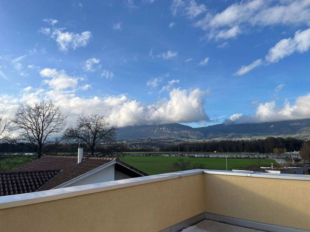 NEUBAU: 3 ½ Zimmer-Attikawohnung 98m2 mit 57m2 Terrasse - Bild 13