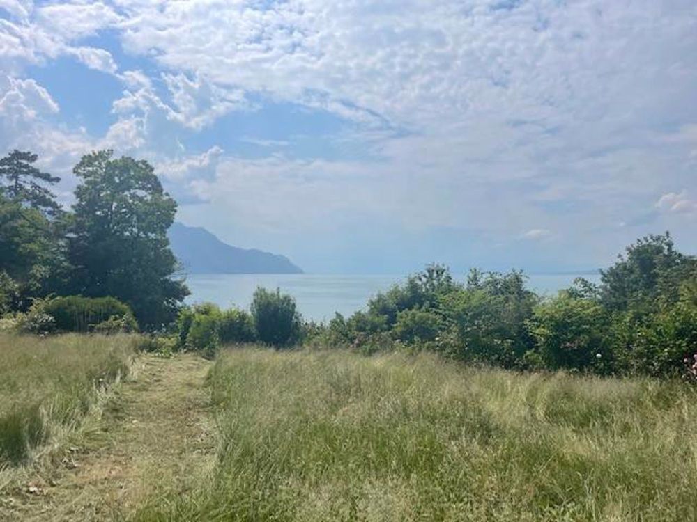 Magnifiques villas neuves face au lac - dernière opportunité - Bild 9
