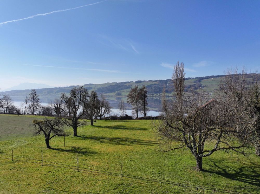«Turmfalke» in Gelfingen: Wohn- und Lebensgenuss am Baldeggersee. - Bild 5