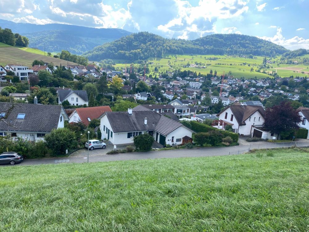 Neubau Doppeleinfamilienhaus mit Weitsicht - Bild 4
