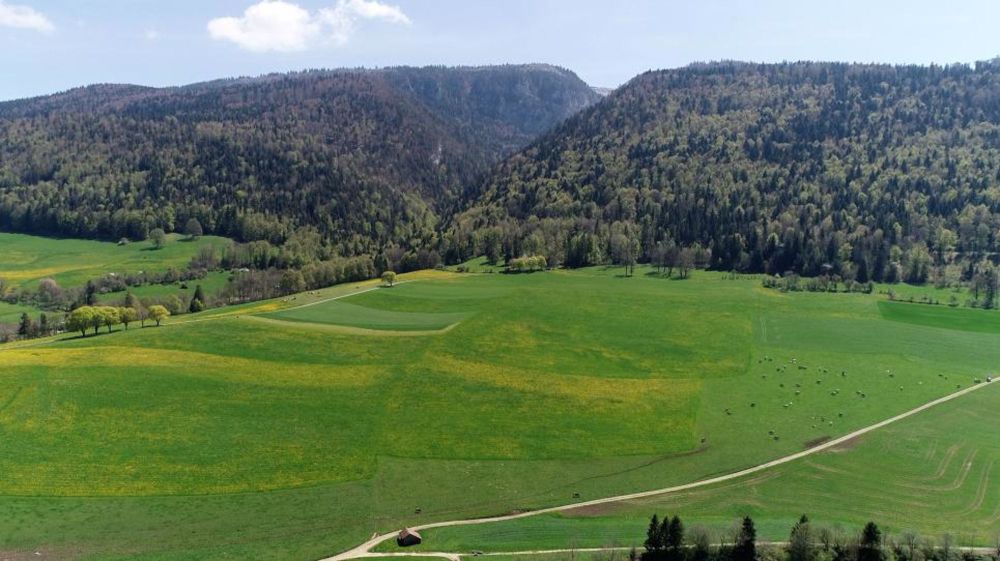 Ihr zukünftiger Lebensraum zwischen Natur und Moderne - Bild 2