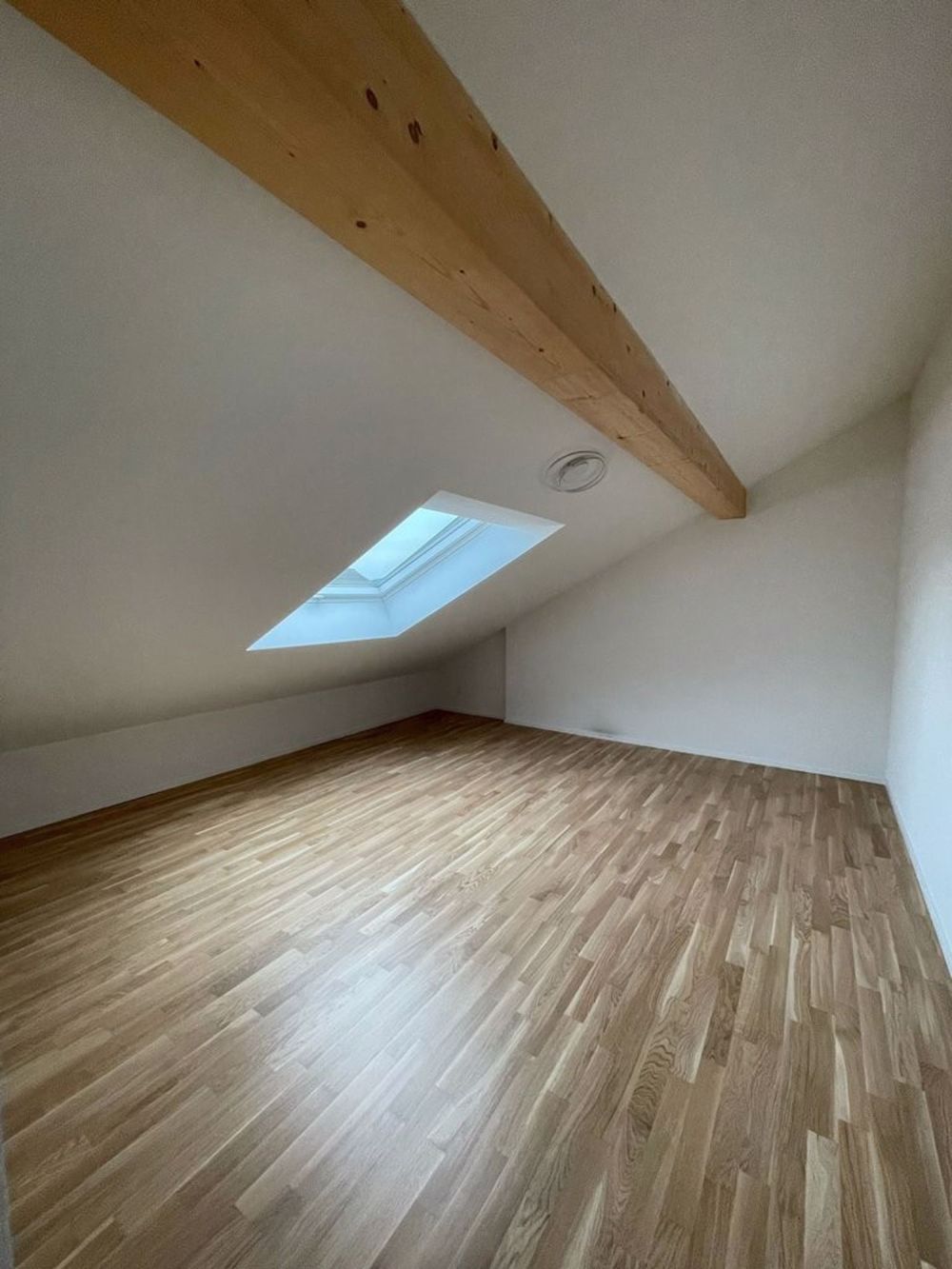 Heimelige Dachwohnung sucht Single! - Bild 3