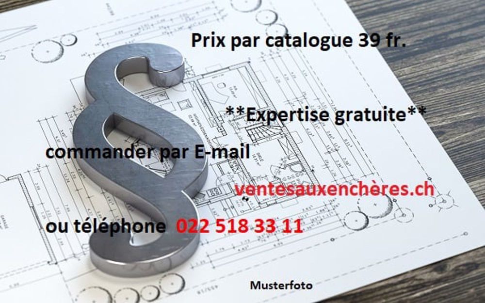 *4,5-Zimmer-Wohunung mit 2 Einstellhallenplätzen* - Bild 13