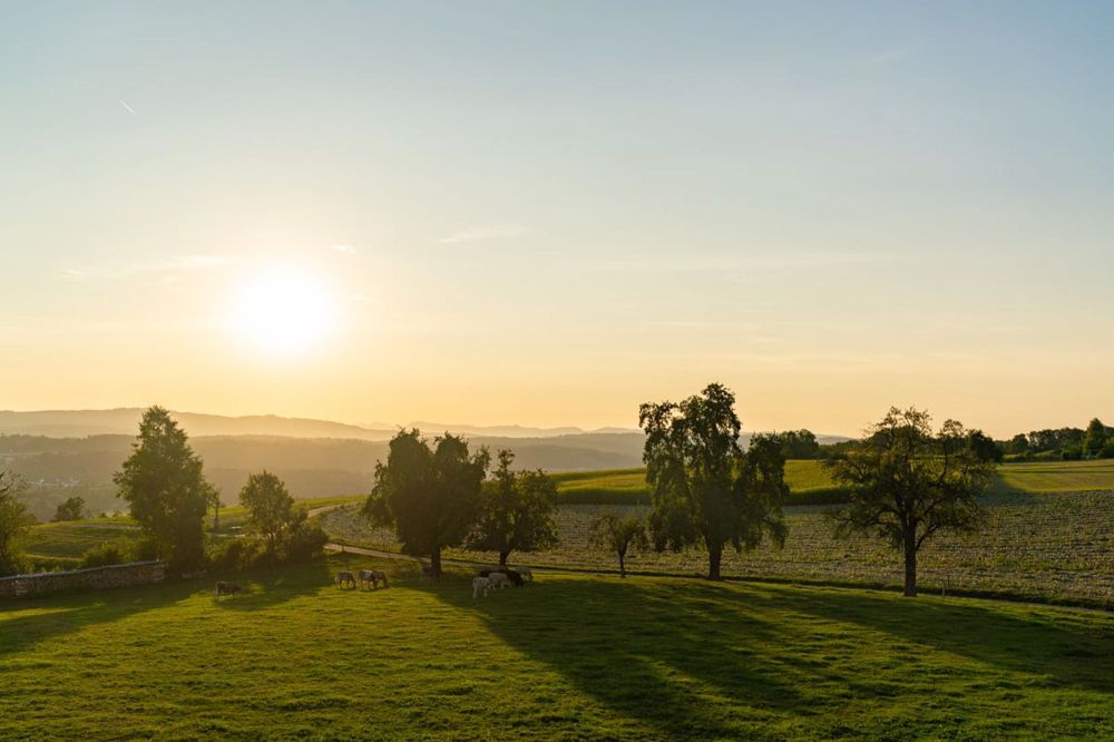 Herrliche Fernsicht und Abendsonne - Ihre neues Zuhause mit Schwimmteich - Bild 9