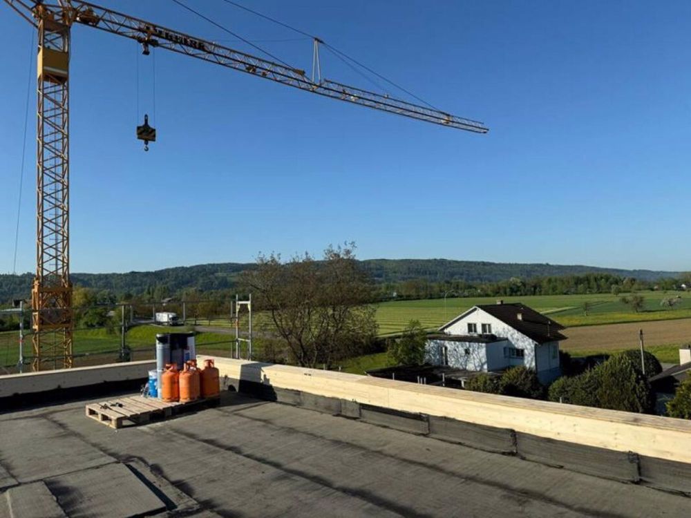 Schlüsselfertiger 5.5-Zi.-Neubau in Müllheim TG (Haus B) - Bild 6