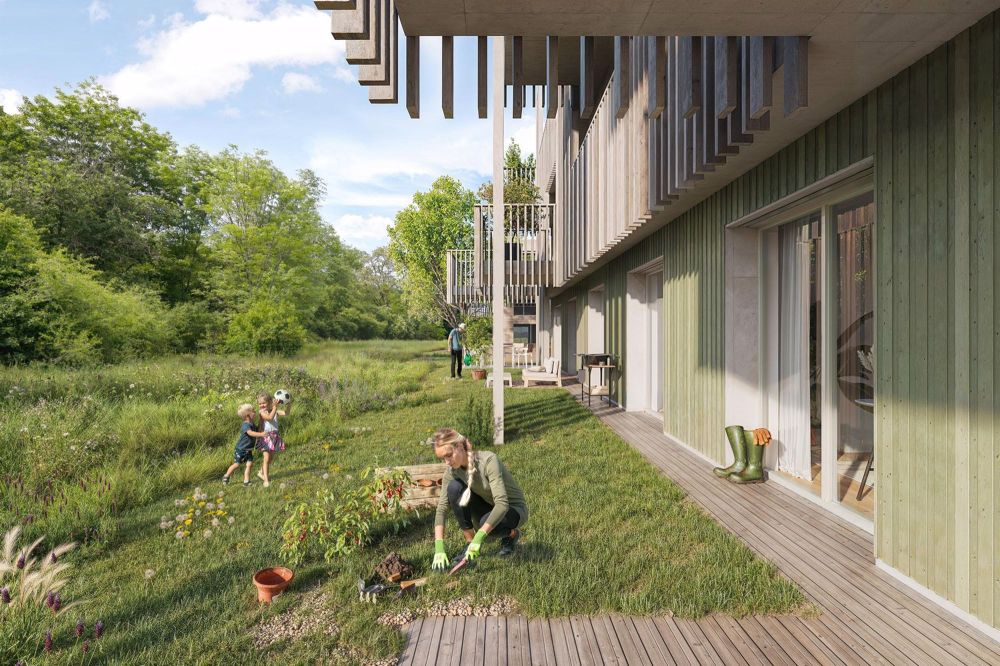 MEINE WALDLICHTUNG, MEIN GARTEN, MEIN ZUHAUSE: WALDSTADT IM PANTLI - Bild 1