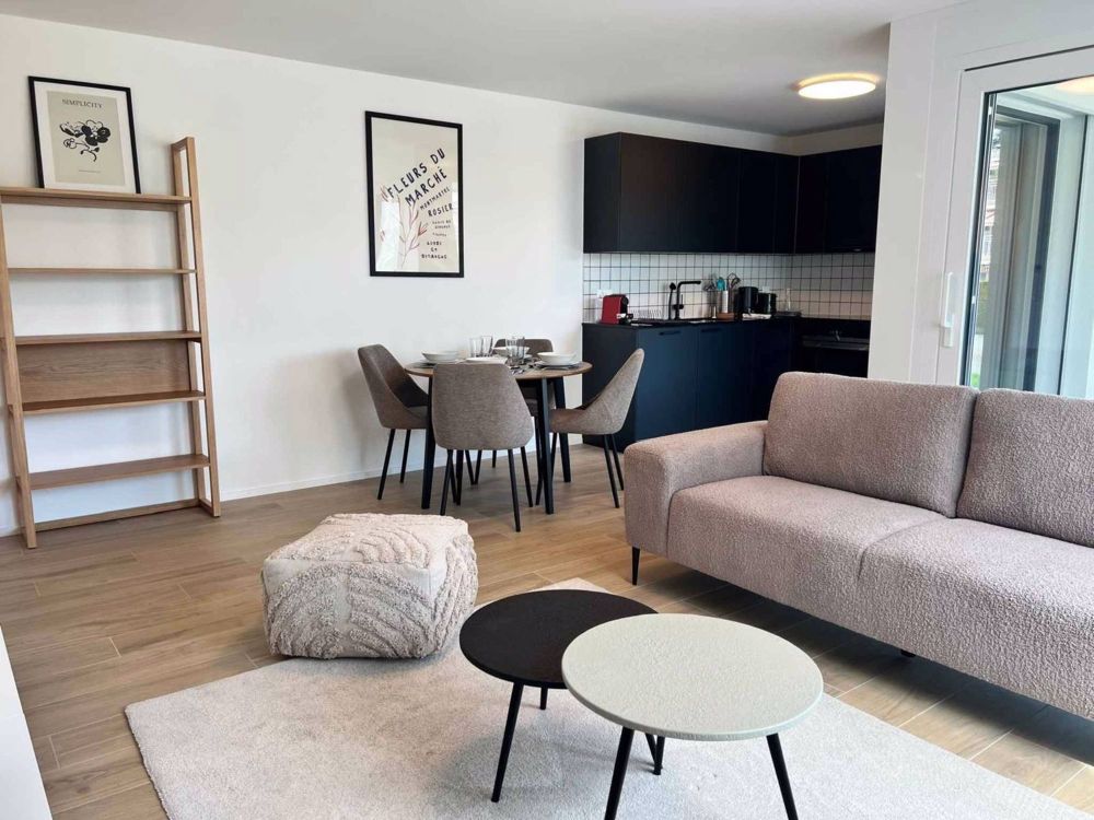Ideal für Investoren – Schönes neues 2.5-Zimmer-Apartment - Pièce de vie