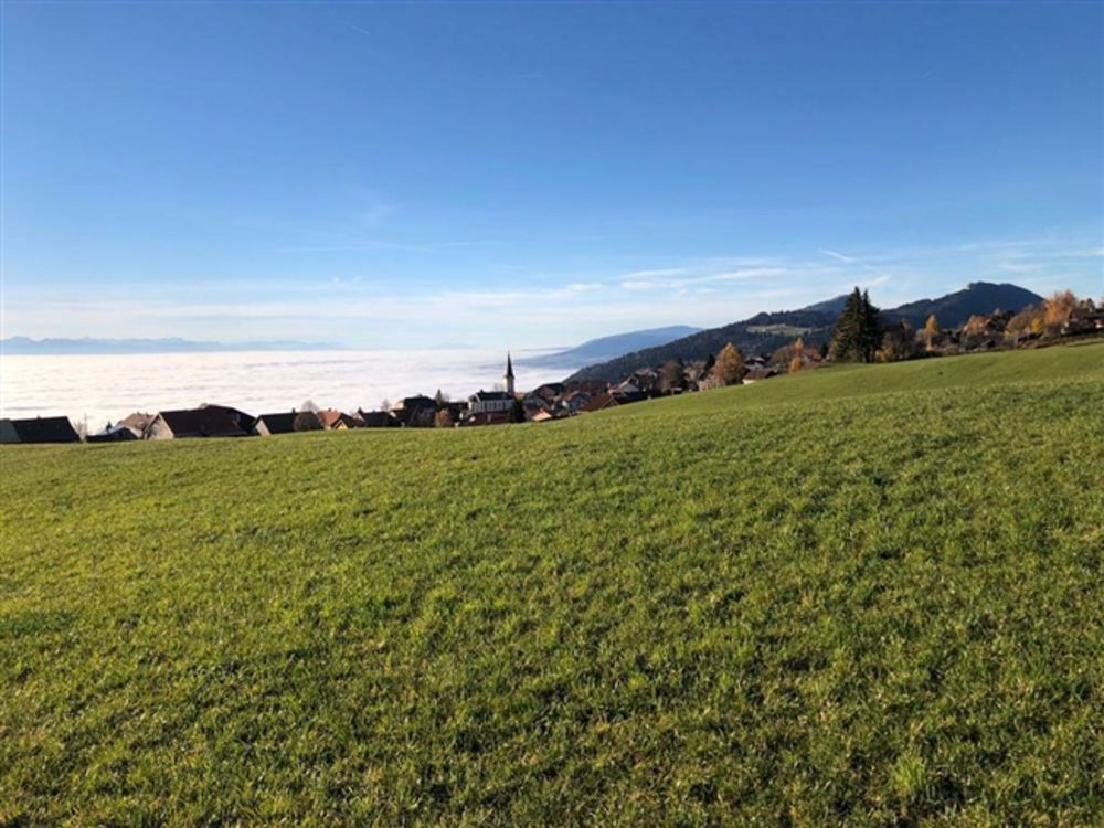 Neue 4.5 Zimmer-Eigentumswohnung, Terrasse und Garten Grand-Vue Residenz - Bild 13