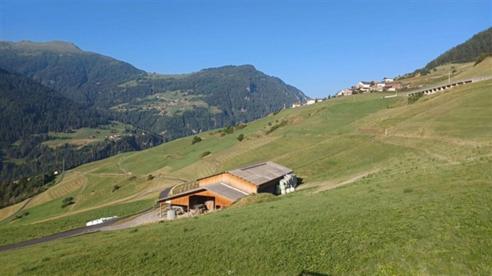 3.5 Zimmerwohnung - Ihr Traumdomizil nahe Lenzerheide (OG-Whg. 2.3) - Bild 6