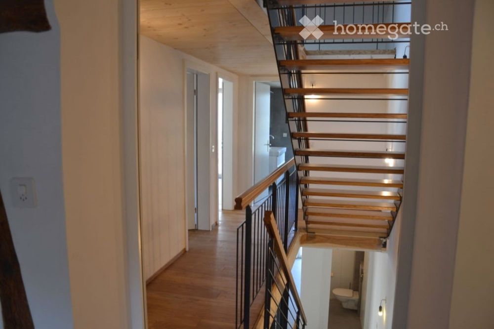 3-Generationen-Haus, 7-Zi.+2-Zi.+Garten, edel, modern & chic restauriert,sehr hell,alles bio - Situation Treppenhaus: geräumig, hell, edel.