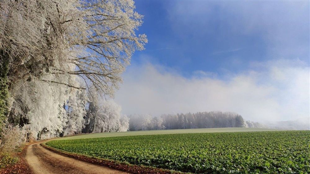 Natürlicher Charme / letzte Möglichkeit - Bild 5