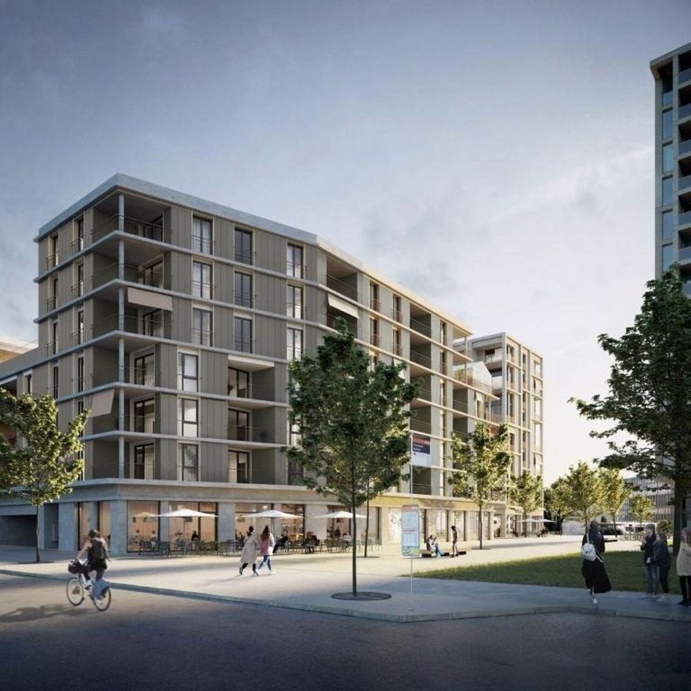 5 ½ Zimmer-Wohnung in Zollikofen mieten - Bild 5