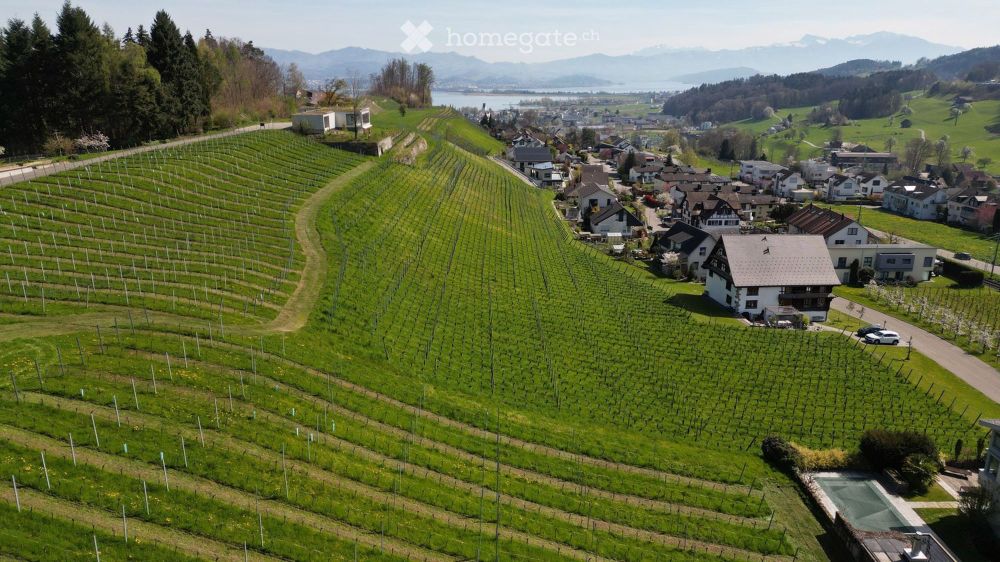 Moderne 3.5-Zimmer-Neubau-Wohnung mit Seeblick in Wilen b. Wollerau - Bild 1