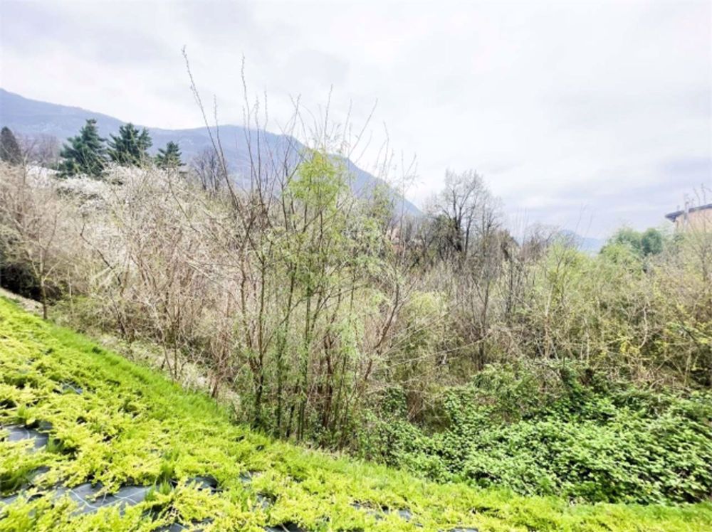 Natur erleben. Ihr Zuhause mit privatem Garten - Bild 11
