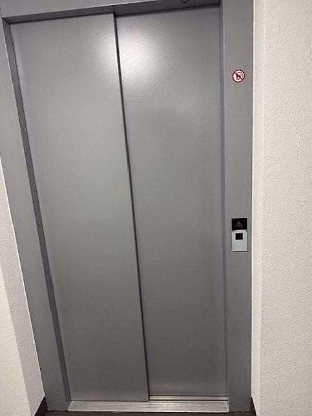 Neubau außerhalb des Marktes Gampelen - Bild 5