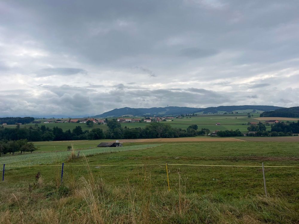 Neue 5.5-Zimmer-Villen in Villorsonnens – Ruhe & Natur - Bild 8