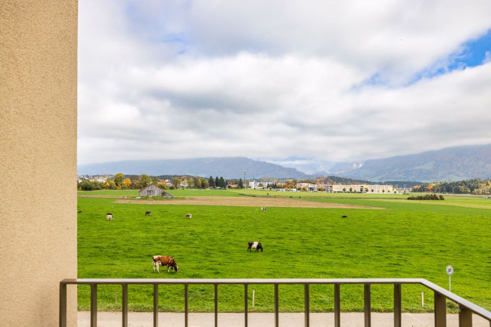 Attika der Extraklasse: Eine Kunst des Wohnens zwischen Natur und Moderne - Bild 3