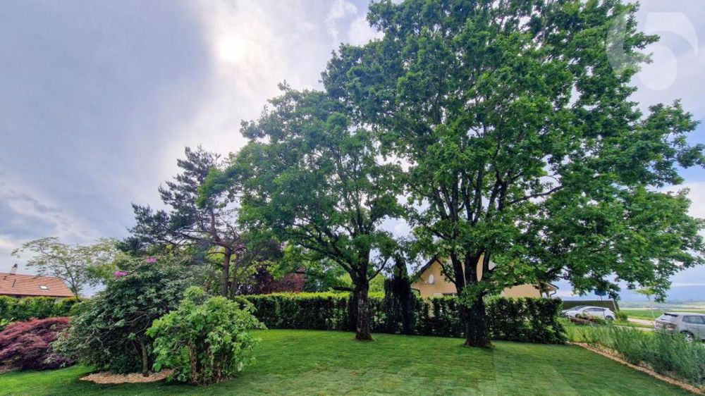 Prächtige 3,5-Zimmer-Wohnung im Erdgeschoss einer Architekten-Villa mit privatem Garten (Rasenmäher-Roboter, automatische Bewässerung) und Bahnhof LEB vor Ort. - Jardin-Parc avec majestueux chênes, hêtre de Perse, érable Japonnais