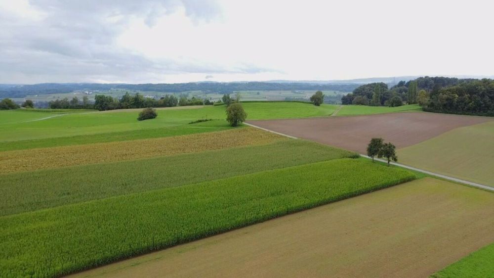 Wohnen mit Eleganz! - Bild 11