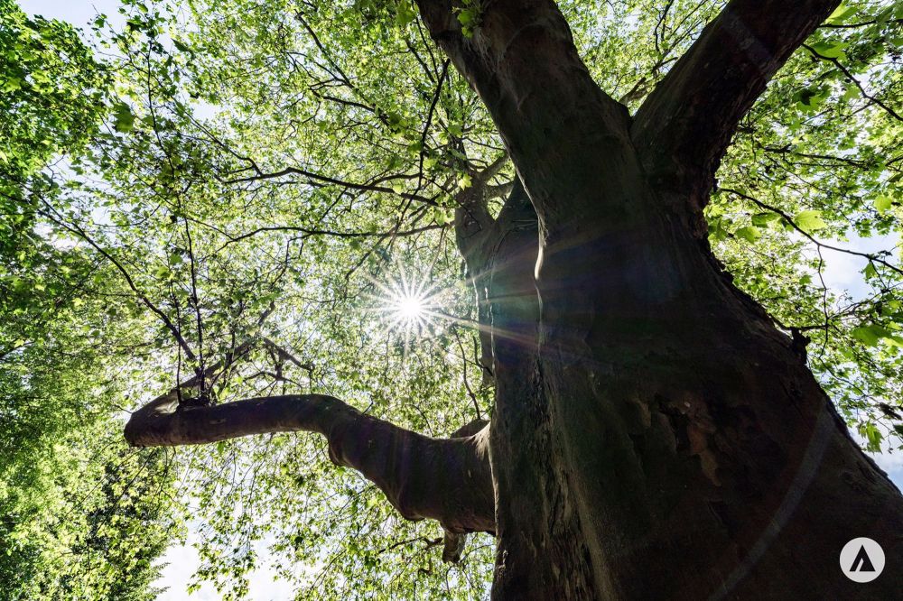 Neubauprojekt Terra: 4½/3½-Zimmerwohnung im EG - Bild 10